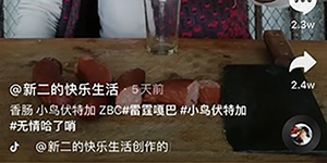 抖音zbc是什么意思