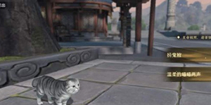 天涯明月刀手游猫之友在哪里