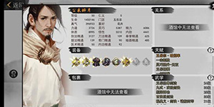 我的侠客五岳宗侯冠不见了