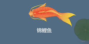 召唤神龙小游戏在哪玩