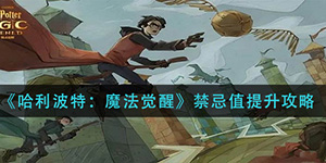 哈利波特魔法觉醒禁忌值怎么提升