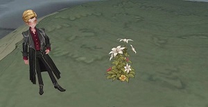 哈利波特魔法觉醒鲜花彩蛋在哪