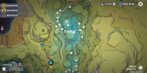 原神树王圣体菇采集位置