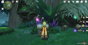 原神水天丛林解密攻略