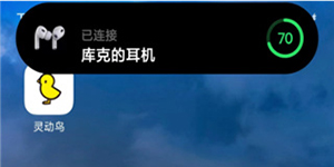 灵动鸟app怎么使用