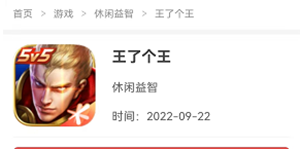 王了个王小游戏在哪玩