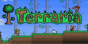 泰拉瑞亚兑换码在哪里输入