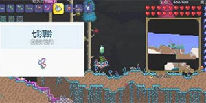 泰拉瑞亚光之女皇怎么召唤