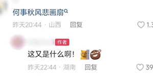 抖音何事秋风悲画扇是什么梗