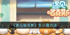 遇见喵克斯怎么生小猫