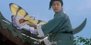 抖音9527是什么梗