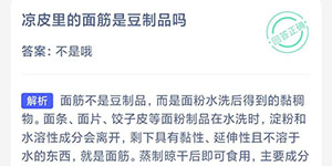 小鸡宝宝考考你凉皮里的面筋是豆制品吗