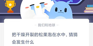 把干燥开裂的松果泡在水中猜猜会发生什么