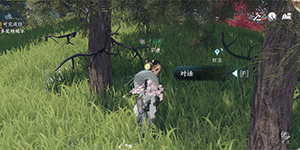 逆水寒手游隐藏商店怎么进入