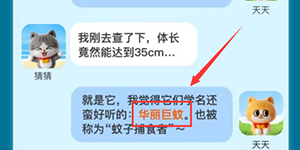 淘宝大赢家每日一猜今日答案7.14
