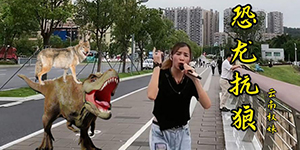 恐龙扛狼是什么梗
