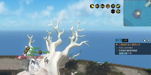 逆水寒手游南海探秘怎么过