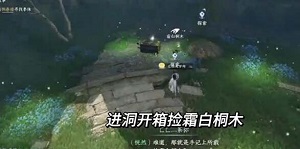 逆水寒洞天寸心任务怎么过