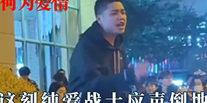 纯爱战士应声倒地是什么梗