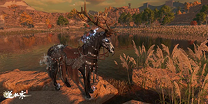 逆水寒手游百态姻缘攻略