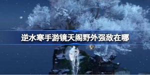 逆水寒手游镜天阁野外强敌在哪