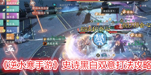 逆水寒手游史诗黑白双意怎么打
