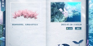 逆水寒手游火焰藻在哪里