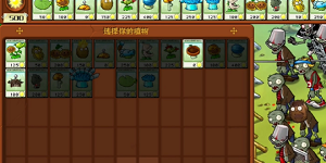 植物大战僵尸杂交版冒险第12关攻略