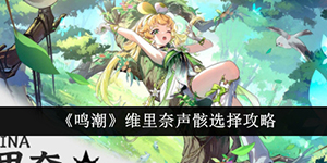 鸣潮维里奈声骸怎么选