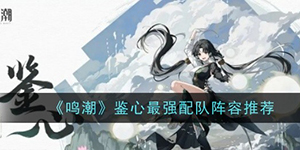 鸣潮鉴心怎么配队