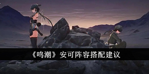 鸣潮安可阵容怎么搭配