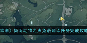 鸣潮倾听动物之声兔语翻译任务攻略