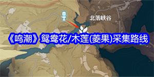 鸣潮鸳鸯花和木莲(菱果)采集路线