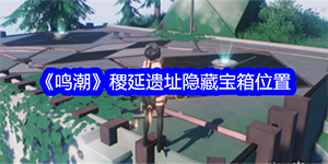 鸣潮稷延遗址隐藏宝箱位置