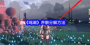 鸣潮声骸怎么分解