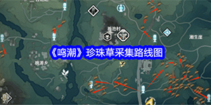 鸣潮珍珠草在哪采集