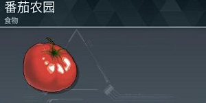 幻兽帕鲁番茄农园怎么制作