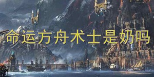 命运方舟术士是奶妈吗