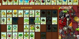 植物大战僵尸杂交版冒险第四十五关怎么过