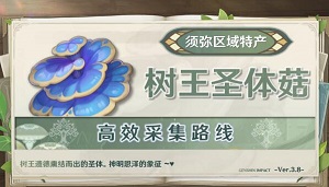 原神树王圣体菇采摘路线