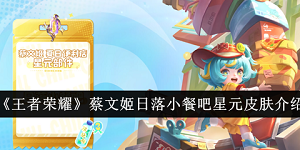 王者荣耀蔡文姬日落小餐吧星元皮肤怎么样