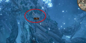 博德之门3轻语树皮怎么拿