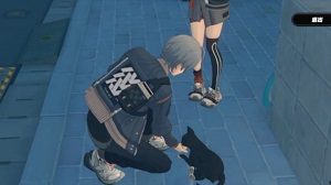 绝区零怎么收养小猫