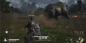 黑神话悟空金甲犀怎么打