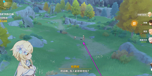 原神神秘武学的召唤任务怎么做