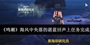 鸣潮海风中失落的湛蓝回声上任务怎么完成