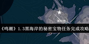 鸣潮1.3黑海岸的秘密宝物任务怎么完成