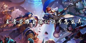 王者荣耀主播认证号怎么弄